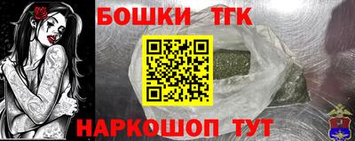 индика Боровичи
