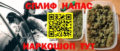 индика Боровичи