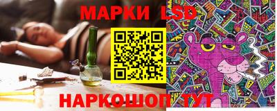 индика Боровичи