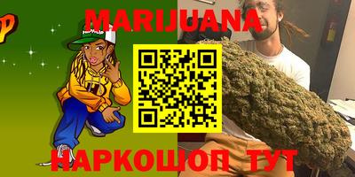 индика Боровичи