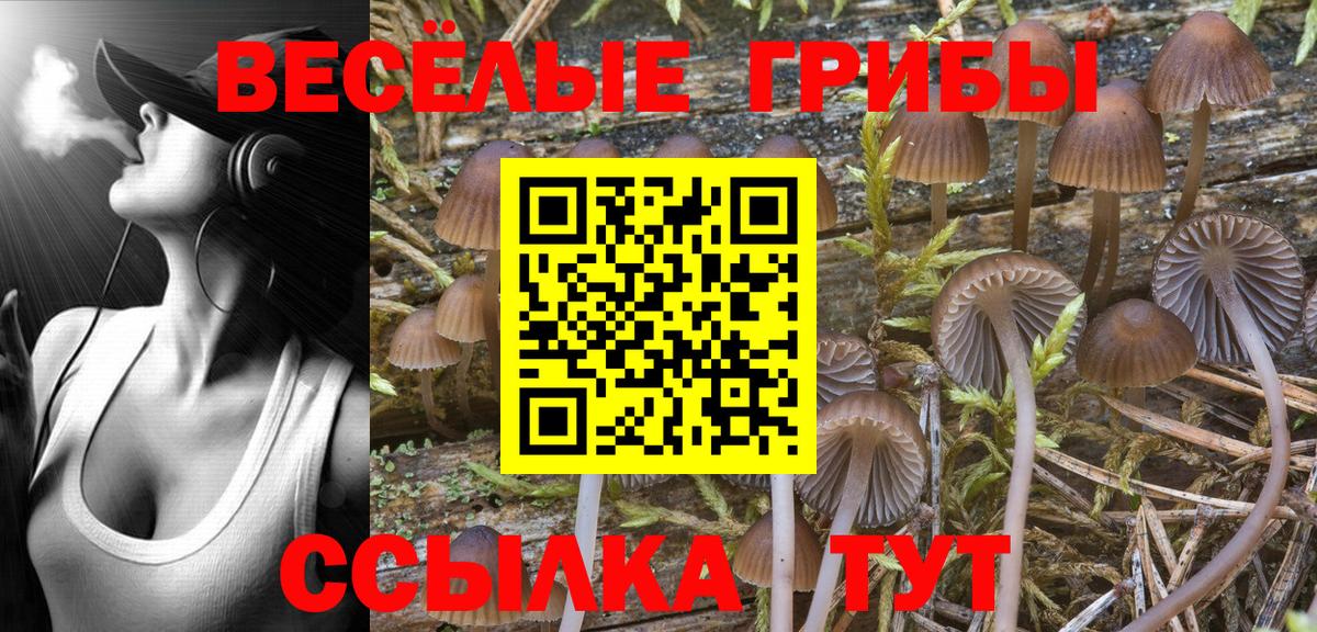 Галлюциногенные грибы Psilocybine cubensis  Псилоцибиновые грибы Magic Shrooms  Борзя  сколько стоит  Вход с VPN 