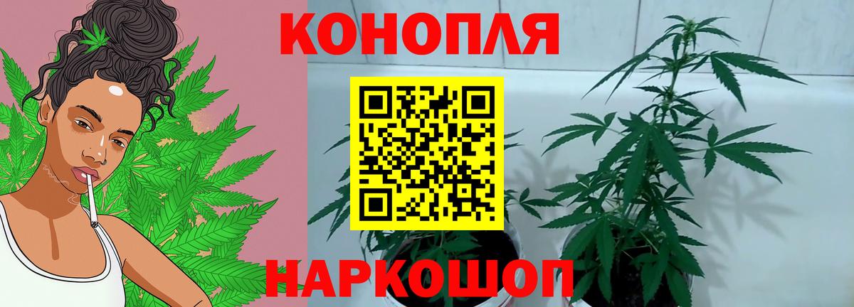 Борзя  Бошки Шишки Ganja  Бошки Шишки VHQ  Каннабис план  Вход с VPN  Шишки марихуана Amnesia 